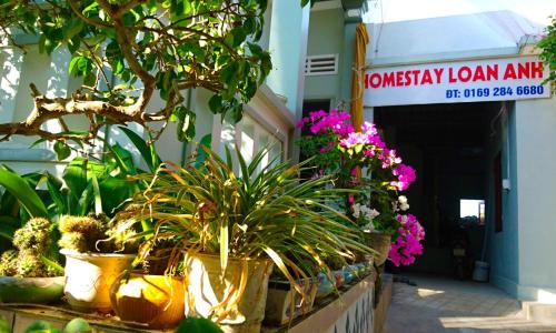 Фотография мини отеля HOMESTAY LOAN ANH
