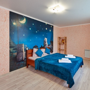 Фотография квартиры Апартаменты Sutki VIP  на Тепличной 41