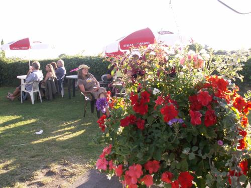 Фотография мини отеля Carew Inn