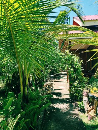 Фотография гостевого дома TAGBALAYON Lodging House