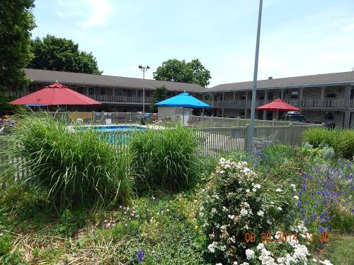 Фотография мотеля White Rose Motel