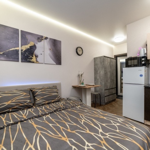 Фотография квартиры Апартаменты 1-я Магистральная 25 (232-2)