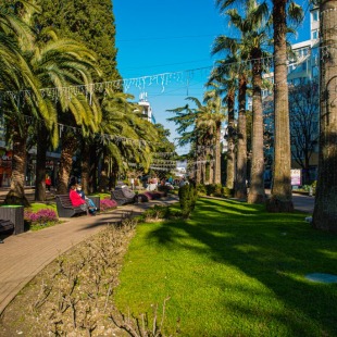 Фотография квартиры Апартаменты В самом центре Сочи с новым ремонтом