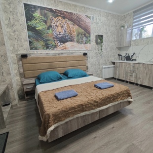 Фотография квартиры Апартаменты на Красной Армии 136/4