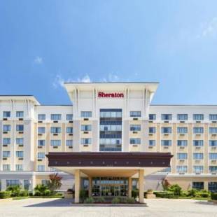 Фотографии гостиницы 
            Sheraton Jacksonville Hotel