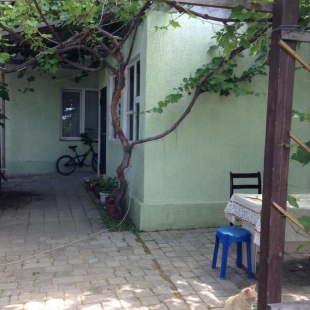 Фотография гостевого дома Родник