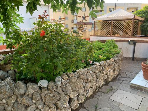 Фотография мини отеля B & B Villa Fiorella