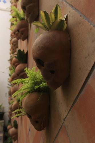 Фотография гостиницы Casa Morelos by Barrio Mexico