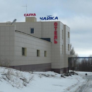 Фотография мини отеля Чайка