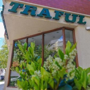 Фотография гостиницы Hotel Traful
