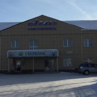 Фотография гостиницы Лель Купино