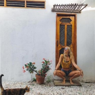 Фотография мини отеля Posada Gallinas