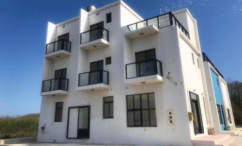 Фотография мини отеля Xiaoshu Homestay