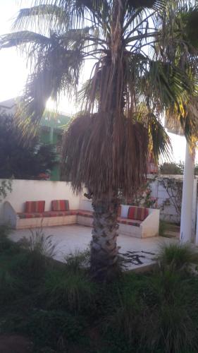 Фотографии гостевого дома
villa avec jardin