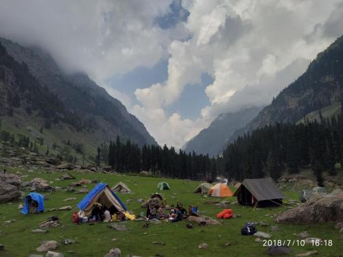 Фотография базы отдыха The woodswalk Treks and tours