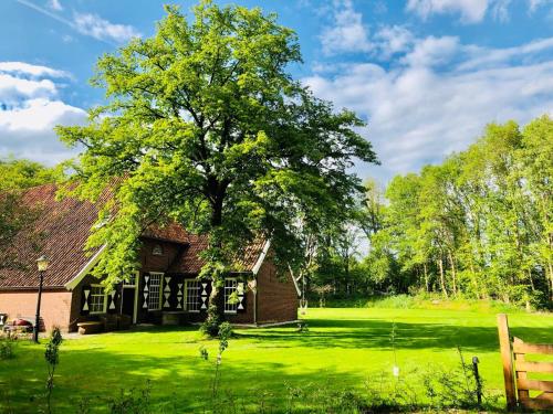 Фотография гостевого дома t Melkhuisje - EV lader aanwezig!