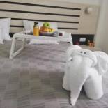 Фотография гостиницы Garni Hotel 11tica DM