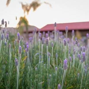 Фотографии мини отеля 
            Terra del Valle Bed & Breakfast