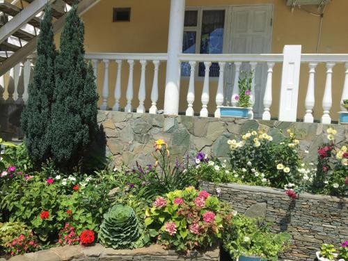 Фотография гостевого дома Alba