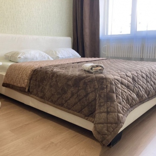 Фотография квартиры Апартаменты Фёдора Тютчева 93/3