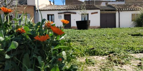 Фотографии гостевого дома
La mimosa