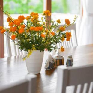 Фотографии гостевого дома
Vasekoja Holiday Center