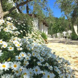 Фотографии мини отеля
Shanti