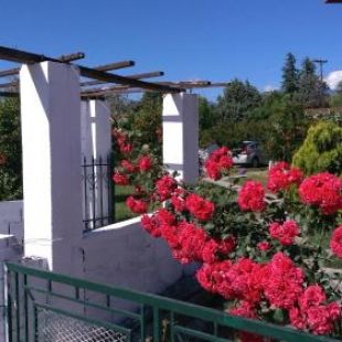 Фотография гостевого дома Green house - Apartment in Aridaia-Loutra Pozar