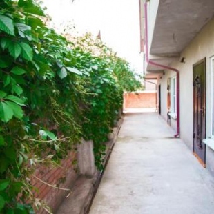 Фотография гостевого дома Forest