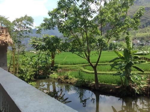 Фотография мини отеля Quân Hằng Homestay