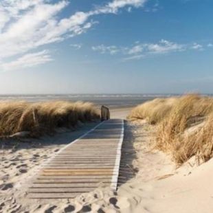 Фотография мини отеля Logies Villa Maxim