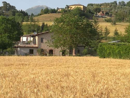 Фотография мини отеля Il Casale dei Nonni