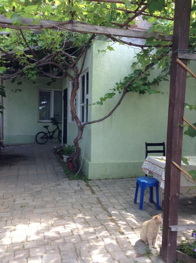 Фотография гостевого дома Родник