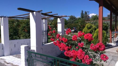 Фотография гостевого дома Green house - Apartment in Aridaia-Loutra Pozar