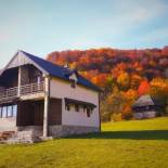 Фотография гостевого дома Holiday Home Drijenak