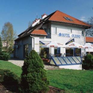 Фотографии гостиницы
Hotel Olesno