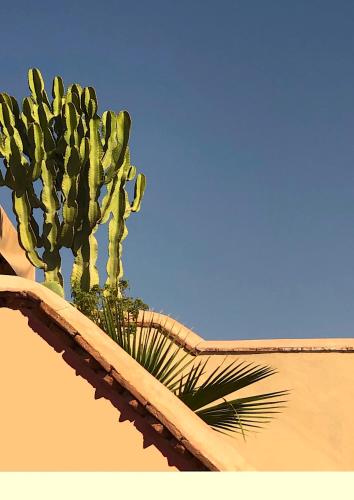 Фотография мини отеля Riad Hadika Maria