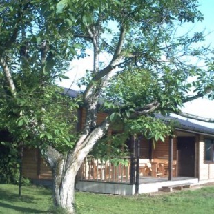 Фотография базы отдыха Pod Orzechem