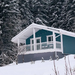 Фотография Коттеджа Частный дом Forest hut