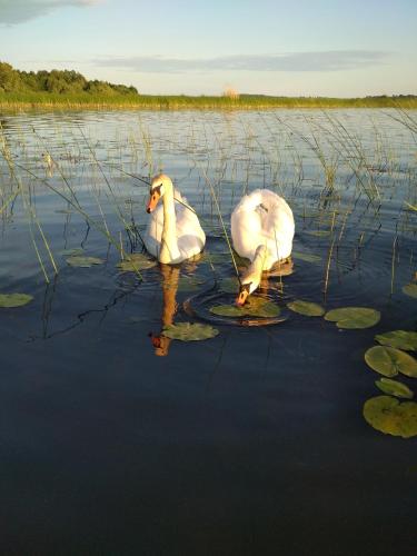 Фотографии гостевого дома
Хутор Скреблово