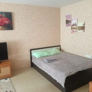 Фотография квартиры Квартира на Коммунистическом проспекте 1