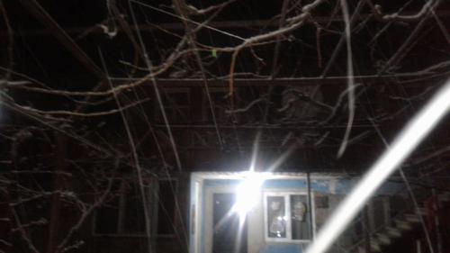 Фотографии мини отеля 
            Granny's house