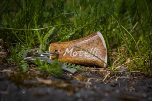 Фотография мотеля Motelli Rovaniemi