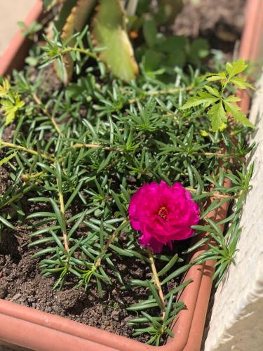 Фотография гостевого дома Casa Verde na Chapada Diamantina
