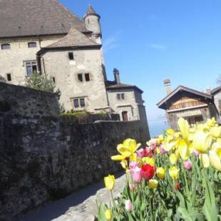 Фотографии гостевого дома 
            La Pointe D'Yvoire