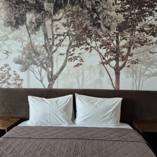 Фотография квартиры Квартира Лес