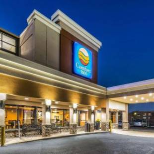 Фотографии гостиницы
Comfort Inn Downtown Detroit