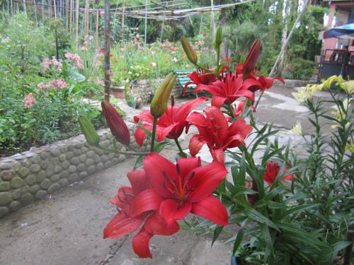 Фотография гостевого дома Guest House on Agmashenebeli 7