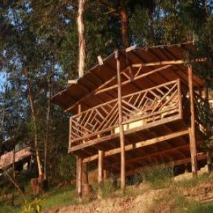 Фотографии гостевого дома
Amasiko Homestay Lake Bunyonyi