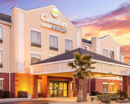 Фотография гостиницы Comfort Inn & Suites Statesboro - University Area